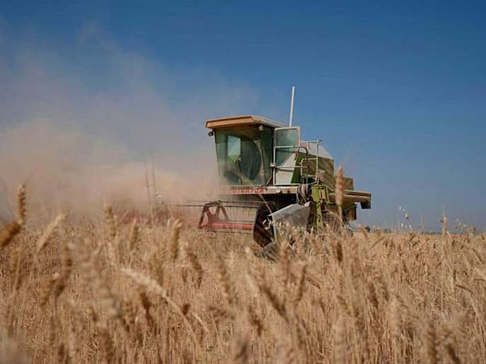 A thresher at work on a wheat farm in Iraq, showcasing the country’s agricultural efforts and recent bumper harvest