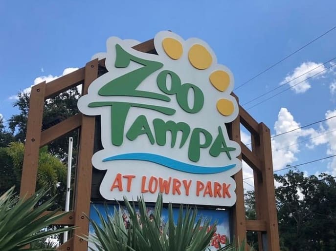 Tampa Zoo animals safely sheltered in hurricane-proof structures as Hurricane Milton nears